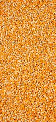 Yellow maize and Soya Doc (Non-GMO) - Image 1