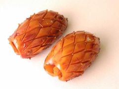 MATSUKASA IKA - Image 1
