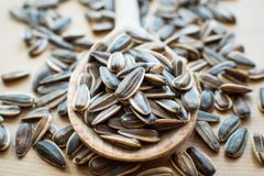 sunflower  seeds - Image 5