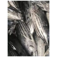 Land frozen Long tail tuna whole frozen tuna fish. - Image 5