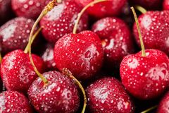 Fresh Sweet Cherries Type Sweet Cherries Texture Juicy Flesh Packaging Boxes, bags Cultivation Type Organic Color Deep Red With Glossy Skin - Image 1