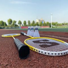 2020 Hot Sale Good Quality Alloy Custom Printed Badminton Rackets Set for Training - Image 2