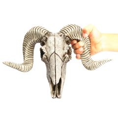 Antique Goat Head Skull Wall Hanging Sheep Head Skeleton Resin Crafts - Image 5