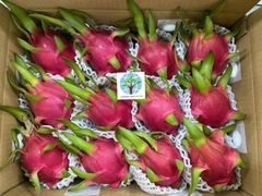 Fresh Dragon Fruit – product photo 1, product detail gallery