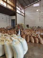 Indonesian Green Coffee Beans – Arabica & Robusta - Image 5