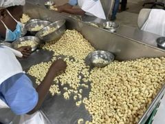 Premium Cashew Kernels (Grades WW320 / WW240) Whole Cashew Kernels – Export Quality Hand-selected Premium Cashew Nuts from Burkina Faso - Image 4