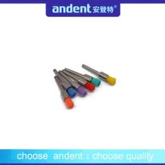 Premium Quality Colorful Teeth Polishing Prophy Brushes Sample Free Origin China Model NO. PB02 Material Nylon Materials - Image 5