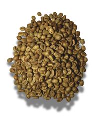 Global Agrinesia Abadi – Authentic Java Origin Green Coffee Beans Arabica & Robusta | Indonesian Terroir Series – product photo 3, product detail gallery