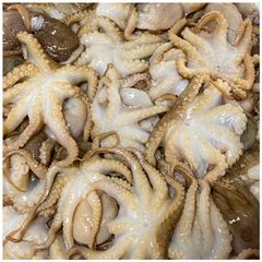 Fresh And Frozen Seafood Octopus Frozen Octopus For Sale. - Image 2
