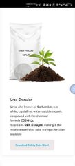 Urea - Image 2