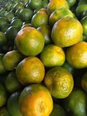 Citrus reticulata mandarin Packaging 3 ply corrugated box Shelf Life Custom packagaing for extended shelf - Image 1