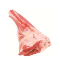 Best Price HALAL FRESH FROZEN BEEF LEG BONE HIND BULK VACUUM PACKED EXPORT READY FOR SALE - Image 1