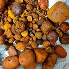 2024 Product Dried Cow Ox Gallstones | Cattle Gallstones| Cow Gallstones and Bezoar Low Price WHATSAP +255787979235 - Image 1