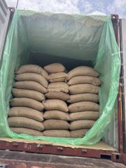 Cocoa beans - Image 1