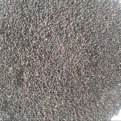 Black Pepper – product photo 1, product detail gallery