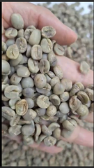 ARABICA - Arabica S16  Full washed New crop – product photo 1, product detail gallery