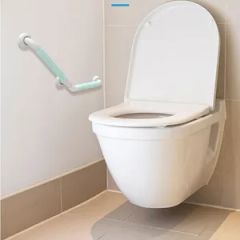 Heavy-Duty Anti-Slip Grab Bar for Disabled and Senior Accessibility - Shandong Guard Zenith International Trade Co., Ltd.
