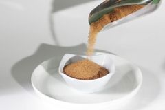 Coconut Palm Sugar - Powder - Image 4
