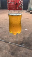 Crude Palm Kernel Oil (CPKO) – Nigerian Origin | Bulk Supply – product photo 2, product detail gallery