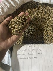 Robusta Coffee Beans -Origin Toraja Indonesia – product photo 1, product detail gallery