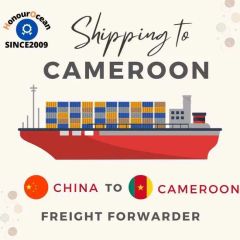 Freight Forwarder From China to Cameroon Expeditions Agent Delivery - Image 3