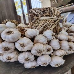 New Season White Garlic Fresh and Normal Available in Wholesale Cheap Price - For Sale – product photo 3, product detail gallery