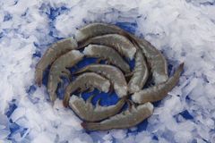 SELL  HLSO FROZEN VANNAMEI SHRIMPS / BLACK TIGER SHRIMPS – product photo 1, product detail gallery