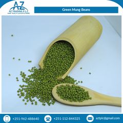 Optimum Quality Machine Cleaned Ethiopian Green Vigna Beans Mung Beans at Wholesale Price 97.5% Min 0.2% Max 0.5% Max 1.5% Max – product photo 2, product detail gallery