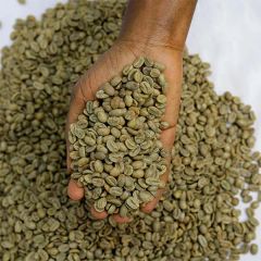 Arabica Coffee Beans Bulk Supplier Export Quality | Grade AA & AB Top Quality Green Coffee Bean - Image 4