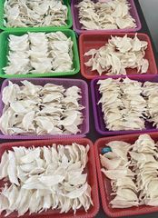 Handpicked & Manually Cleaned Bird Nest Grade A Testing Nitrite-tested Purity Naturally Cleaned Chemical Treatment No Harsh Chemicals - Image 2