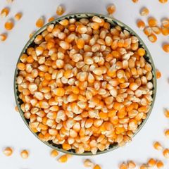 Brazilian Yellow Corn frozenchickenexports.com – product photo 2, product detail gallery