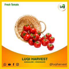 Aseptic Tomato Paste 2025 Crop – product photo 2, product detail gallery