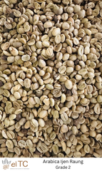 Indonesian Arabica Green Coffee Beans – product photo 2, product detail gallery