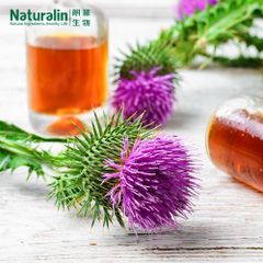 Milk Thistle Extract - Image 5