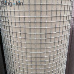 Best Selling Galvanized/Stainless Steel Square Welded Wire Mesh Aviary Mesh - Image 5