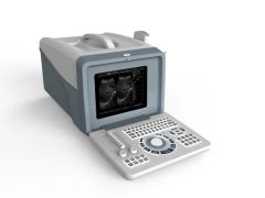 Hot Sale Portable Black& White Ultrasound Machine with 2D Digital Electronic Product - Guangdong Huajian Medicine Instruments Co., Ltd.