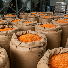 Nutritious Red Lentils Offering Bright Color Clean Texture And Excellent Cooking Performance For Wholesale Food Demand - Image 3