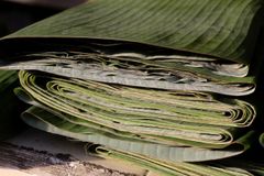 Fresh Banana leaves – product photo 2, product detail gallery