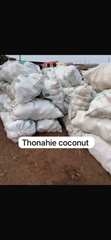Coconut – product photo 1, product detail gallery