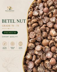 Dried Betel Nut (Areca Nut) Split / Whole Grade 80-85 Export Quality - Premium Indonesia - Image 3