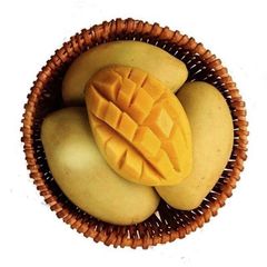 Wholesale Fresh Mango / Alphonso Mango Fruit / Mango Pulp Type MANGO Style Fresh Color Yellow Content mango Shelf Life - Image 3