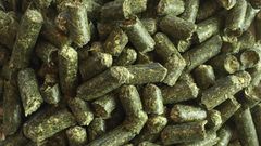 High quality Alfalfa pellets – product photo 1, product detail gallery