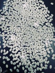 Japonica Sushi Rice, High Quality, 5% Broken - Image 1