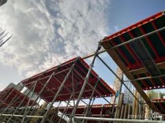 Customizable Slab Formwork, Ceiling, Roofing Formwork, and Concrete Formwork Options - Image 6