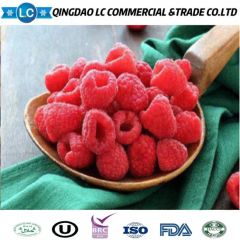 Frozen Raspberry Brokens, Frozen Raspoberries Brokens, IQF Raspberries Brokens, IQF Raspberry Brokens, Frozen Raspberry Crumbles, IQF Raspberries Crumbles - Image 3