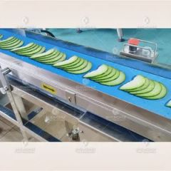 Large Output Fresh Meat Cutting Machine Pork Meat Slicing Machine Meat Slicer Food Processing Equipment - Image 5