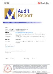 SGS Certificate certificate from Henan Songte Machinery Co., Ltd.