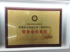 Certificate of Honor certificate from Shenzhen Ad-Sun Signs Co., Ltd.