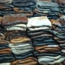 Wet Salted Cow Hides - Image 1