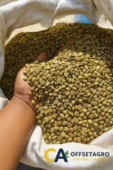ARABICA COFFEE - Image 2